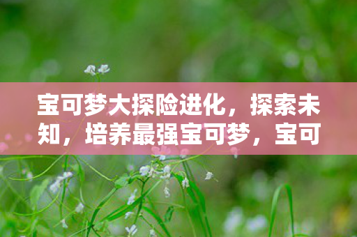 宝可梦大探险进化，探索未知，培养最强宝可梦，宝可梦大探险，培养最强宝可梦，探索未知之旅！