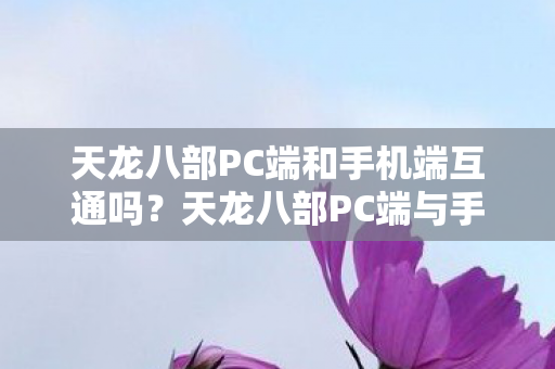 天龙八部PC端与手机端是否互通图片