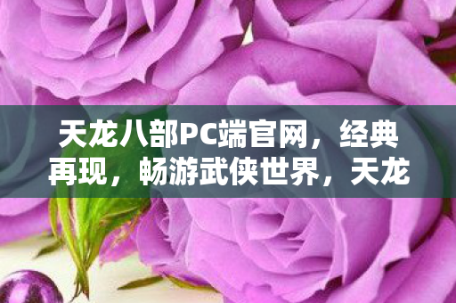天龙八部PC端官网上线图片