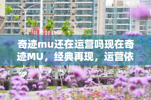 奇迹mu还在运营吗现在奇迹MU图片