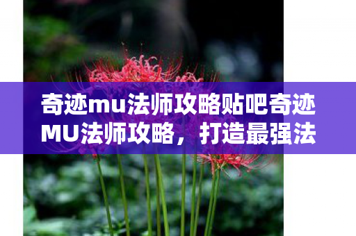 奇迹mu法师攻略贴吧奇迹MU法师攻略图片