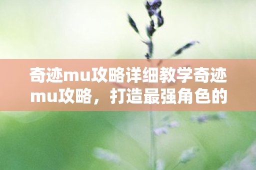 奇迹mu攻略详细教学奇迹mu攻略图片