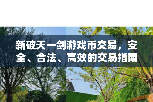 新破天一剑游戏币交易,安全、合法、高效的交易指南,新破天一剑游戏币交易,安全、合法、高效的交易指南 新破天一剑游戏币交易,安全、合法、高效的交易指南,新破天一剑游戏币交易,安全、合法、高效的交易指南
