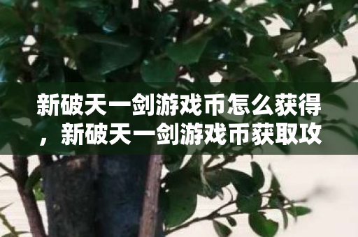 新破天一剑游戏币怎么获得,新破天一剑游戏币获取攻略 新破天一剑游戏币怎么获得,新破天一剑游戏币获取攻略