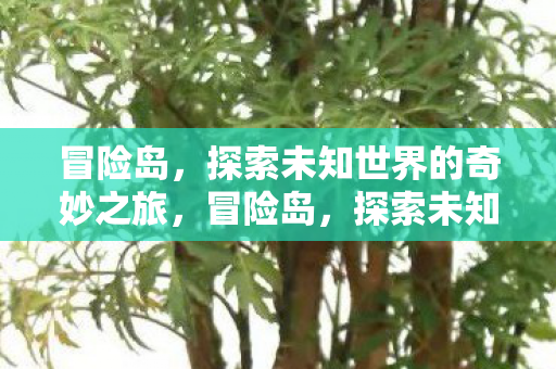 冒险岛，探索未知世界的奇妙之旅，冒险岛，探索未知世界的奇妙之旅