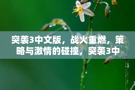 策略与激情的碰撞图片