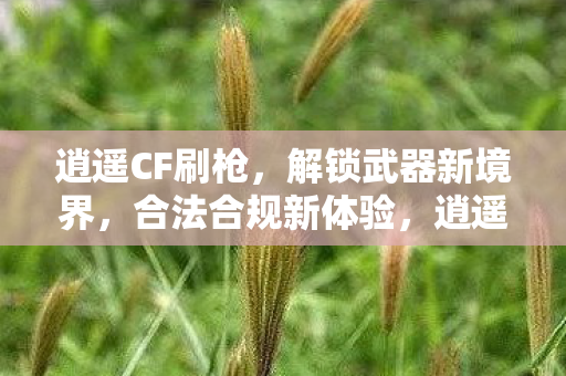 逍遥CF解锁武器新境界图片