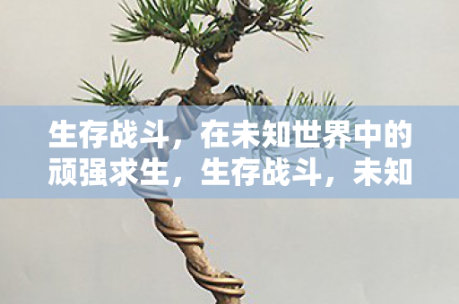 生存战斗，在未知世界中的顽强求生，生存战斗，未知世界中的顽强求生