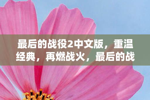 最后的战役2中文版图片