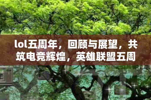 英雄联盟五周年庆典图片