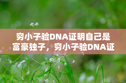 穷小子验DNA证明自己是富豪独子图片