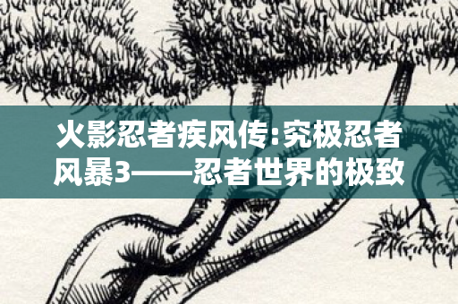 忍者世界的极致盛宴图片
