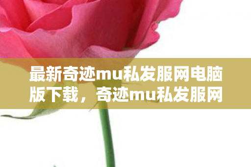 最新奇迹mu私发服网电脑版下载图片