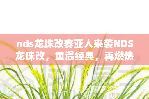 nds龙珠改赛亚人来袭NDS龙珠改图片