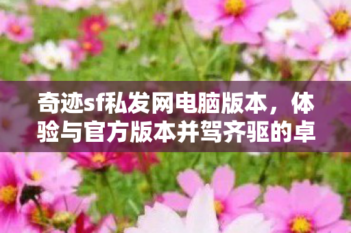 体验与官方版本并驾齐驱的卓越体验图片