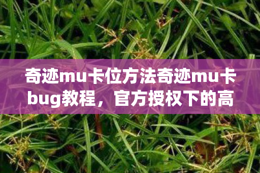 奇迹mu卡位方法奇迹mu卡bug教程图片