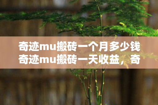 奇迹mu搬砖一个月多少钱奇迹mu搬砖一天收益图片