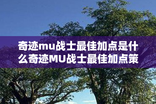 奇迹mu战士最佳加点是什么奇迹MU战士最佳加点策略图片
