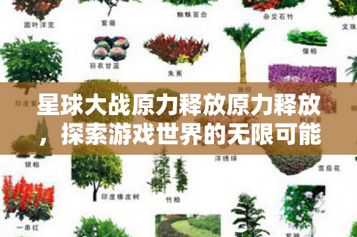 星球大战原力释放原力释放图片