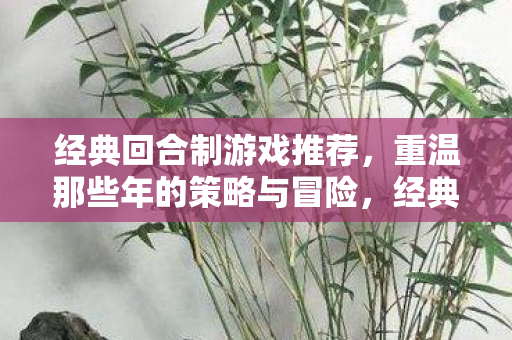 重温策略与冒险的难忘时光图片