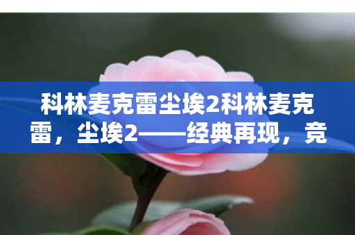 科林麦克雷尘埃2科林麦克雷图片
