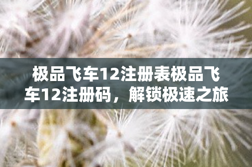 极品飞车12注册表极品飞车12注册码图片