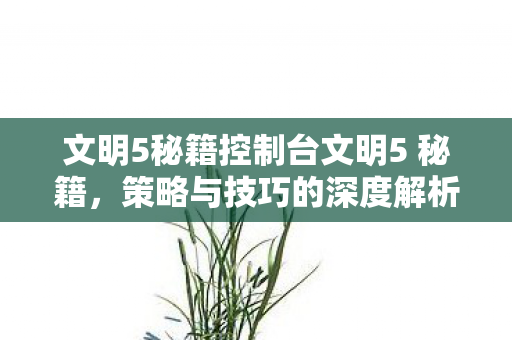 文明5秘籍控制台文明5 秘籍图片