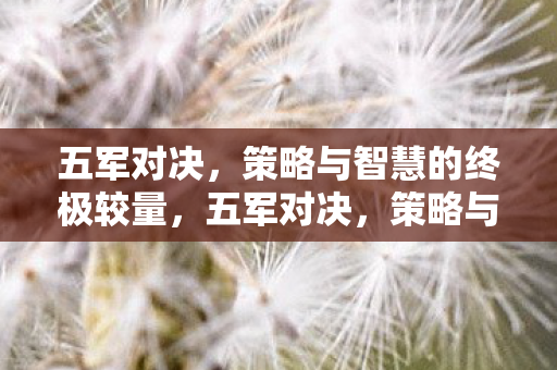 五军对决，策略与智慧的终极较量，五军对决，策略与智慧的巅峰对决