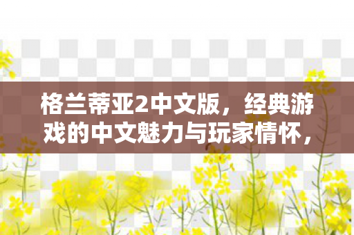 格兰蒂亚2中文版,经典游戏的中文魅力与玩家情怀,格兰蒂亚2中文版,经典游戏的中文魅力与玩家情怀 格兰蒂亚2中文版,经典游戏的中文魅力与玩家情怀,格兰蒂亚2中文版,经典游戏的中文魅力与玩家情怀
