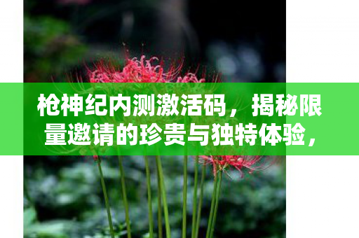 枪神纪内测激活码,揭秘限量邀请的珍贵与独特体验,揭秘枪神纪内测激活码,限量邀请的珍贵与独特体验 枪神纪内测激活码,揭秘限量邀请的珍贵与独特体验,揭秘枪神纪内测激活码,限量邀请的珍贵与独特体验