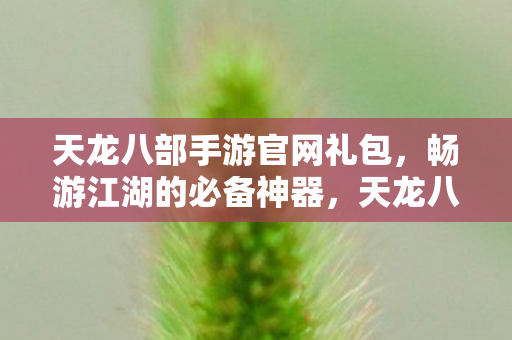 天龙八部手游官网礼包图片