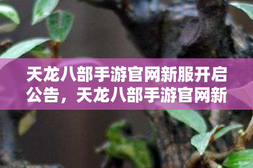 天龙八部手游官网新服开启公告图片