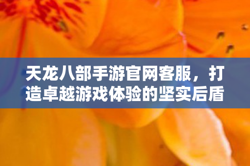 打造卓越游戏体验的坚实后盾图片