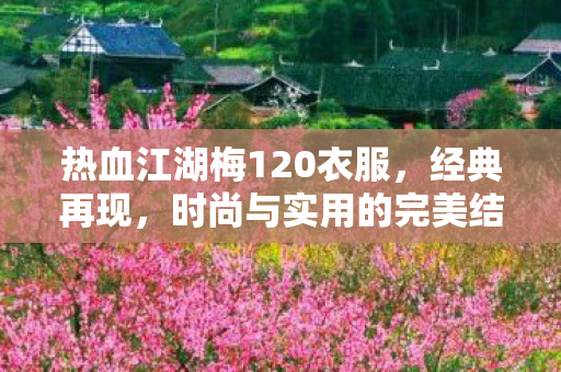 热血江湖梅120衣服，经典再现，时尚与实用的完美结合，热血江湖梅120经典再现，时尚与实用完美融合