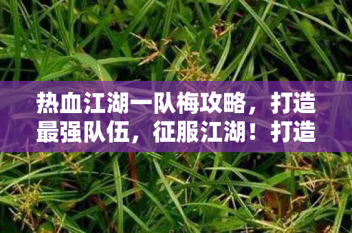 热血江湖一队梅攻略，打造最强队伍，征服江湖！打造最强队伍，征服热血江湖！