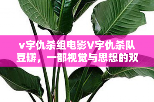 v字仇杀组电影V字仇杀队豆瓣,一部视觉与思想的双重盛宴,V字仇杀队,视觉与思想的双重盛宴 v字仇杀组电影V字仇杀队豆瓣,一部视觉与思想的双重盛宴,V字仇杀队,视觉与思想的双重盛宴