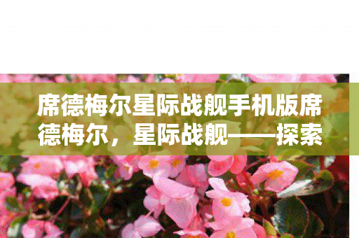 席德梅尔星际战舰手机版席德梅尔,星际战舰——探索未知星域的壮丽史诗,席德梅尔星际战舰,探索未知星域的壮丽史诗 席德梅尔星际战舰手机版席德梅尔,星际战舰——探索未知星域的壮丽史诗,席德梅尔星际战舰,探索未知星域的壮丽史诗