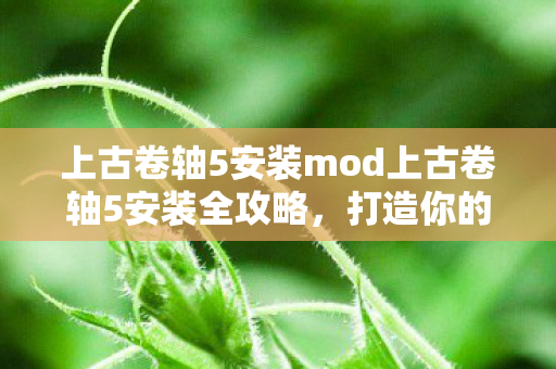 上古卷轴5安装mod上古卷轴5安装全攻略，打造你的游戏天堂，上古卷轴5，打造你的游戏天堂，全攻略教你如何安装MOD