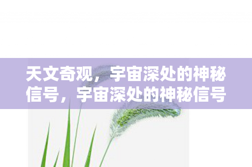 宇宙深处的神秘信号图片