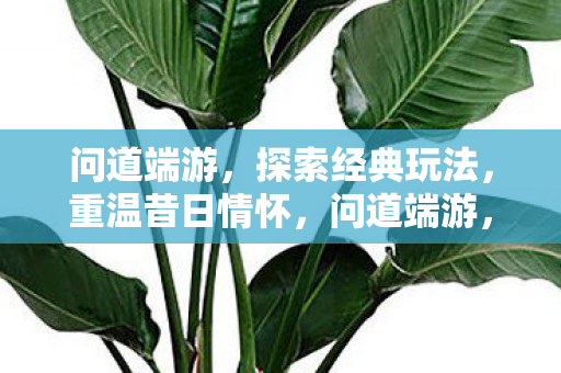 问道端游,探索经典玩法,重温昔日情怀,问道端游,重温经典玩法,探索昔日情怀 问道端游,探索经典玩法,重温昔日情怀,问道端游,重温经典玩法,探索昔日情怀