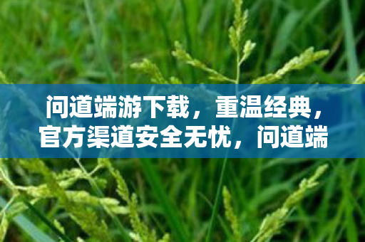问道端游下载,重温经典,官方渠道安全无忧,问道端游官方下载,重温经典,安全无忧 问道端游下载,重温经典,官方渠道安全无忧,问道端游官方下载,重温经典,安全无忧