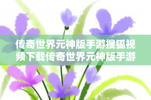 传奇世界元神版手游搜狐视频下载传奇世界元神版手游搜狐视频图片