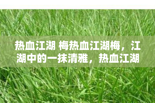 热血江湖 梅热血江湖梅，江湖中的一抹清雅，热血江湖梅，江湖中的一抹清雅