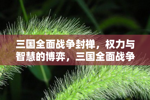 三国全面战争封禅图片