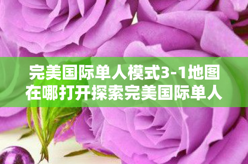 1地图在哪打开探索完美国际单人模式3图片