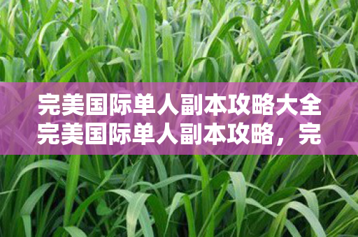 完美国际单人副本攻略大全完美国际单人副本攻略图片