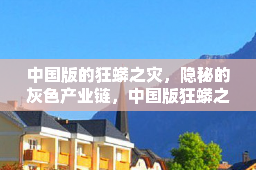 隐秘灰色产业链曝光图片
