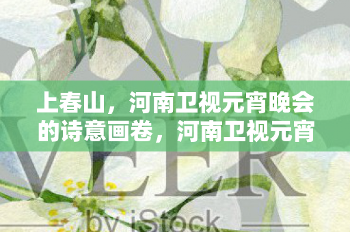 河南卫视元宵晚会的诗意画卷图片