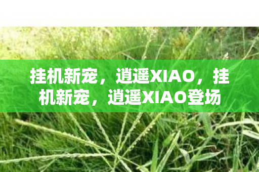 逍遥XIAO登场图片