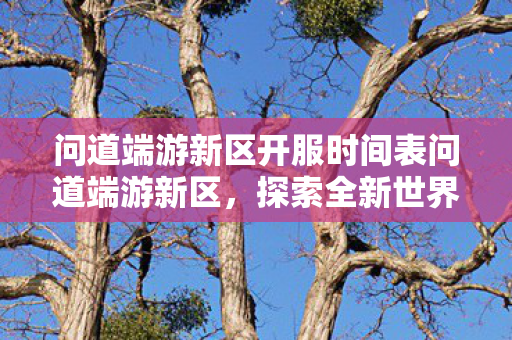 问道端游新区开服时间表问道端游新区,探索全新世界的奇妙之旅,问道端游新区探索之旅,最新开服时间表揭晓 问道端游新区开服时间表问道端游新区,探索全新世界的奇妙之旅,问道端游新区探索之旅,最新开服时间表揭晓